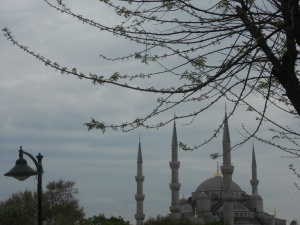 the blue mosque